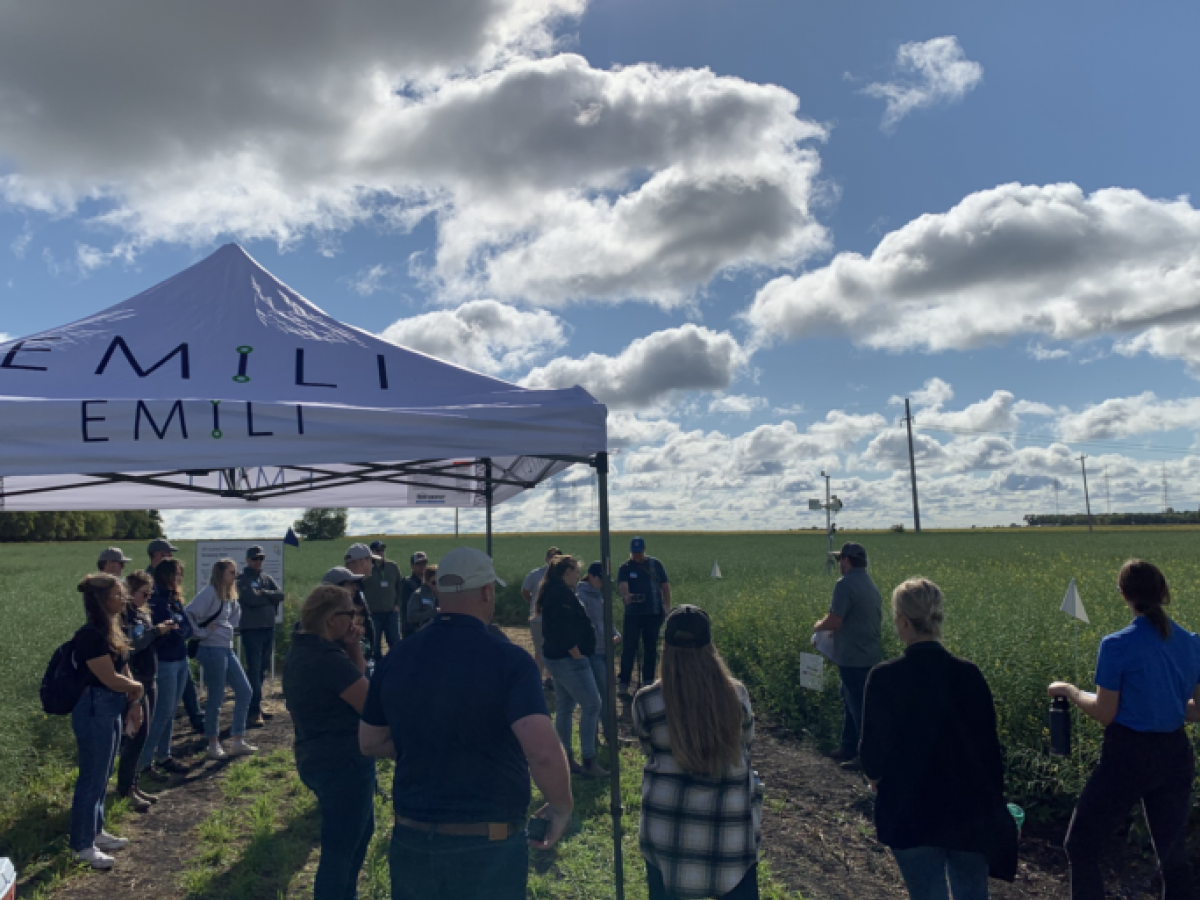 4R practices showcased at Innovation Farms - Photo: EMILI